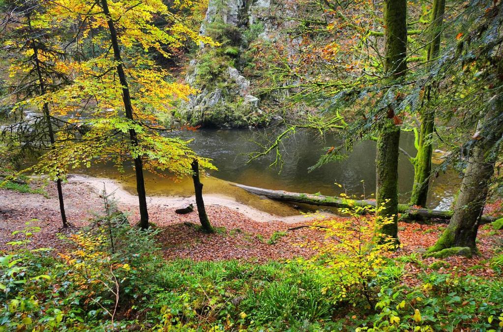 Meuble Pour 5 Pers - Hautes Vosges Thiefosse Bagian luar foto